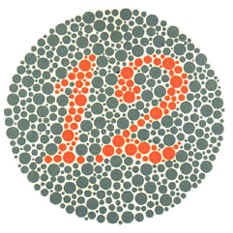 Ishihara-Plate-01-38