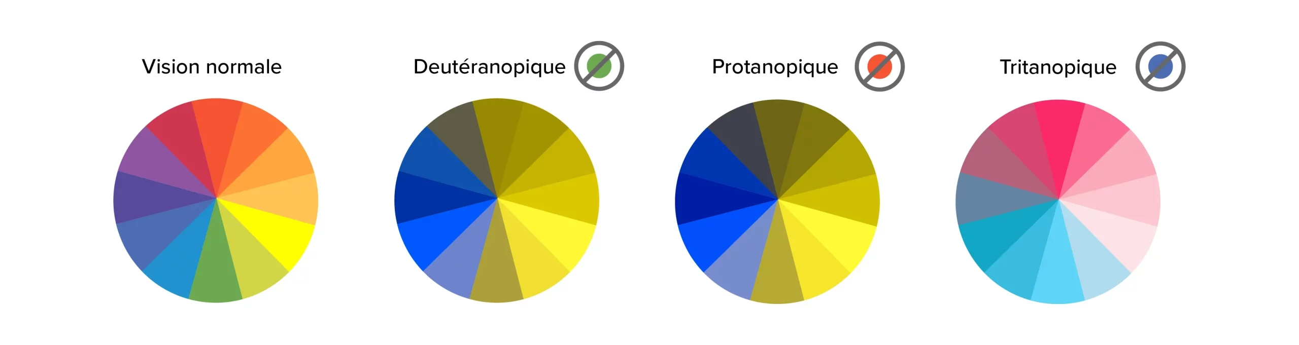 Roues chromatiques : vision normale, deutéranopique, protanopique et tritanopique